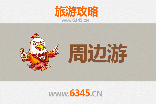 乐山峨眉山周边深度游攻略：佛国仙山与美食秘境的全景探索