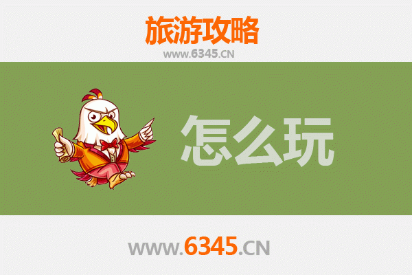 节假日乐山峨眉山旅游全攻略：避开人潮，深度体验佛教文化与自然奇观